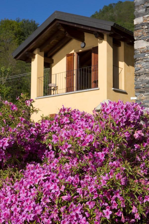 Violina Casa Vacanze 페텐나스코 외부 사진